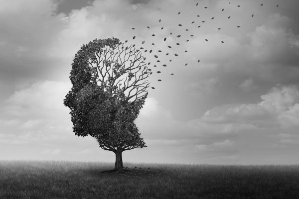 Alzheimer Nedir? Yaşlılarda Alzheimer Belirtileri ve Evreleri, Yaşlılarda Alzheimer Bakımı Antalya